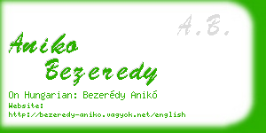 aniko bezeredy business card